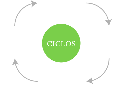 ciclos